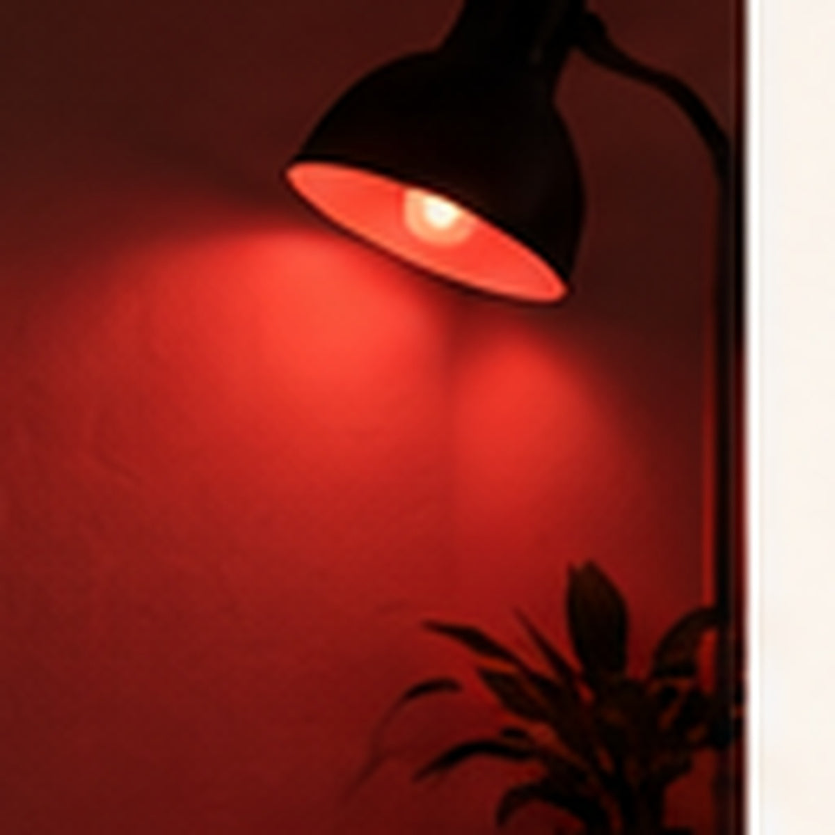 Rovia Red Light Bulb - lifestyle 3